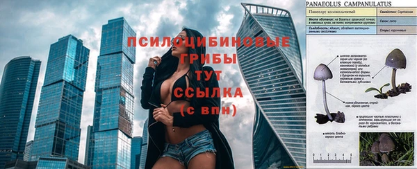 меф Алзамай