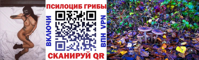 Галлюциногенные грибы ЛСД  Купить закладки  Александровское 